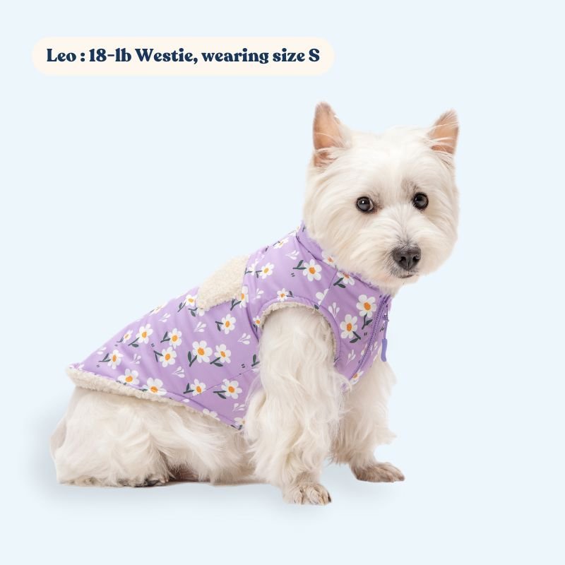 Purple Daisy Reversible Cozy Fleece Vest™ Cozy Fleece Sniff & Bark™ 