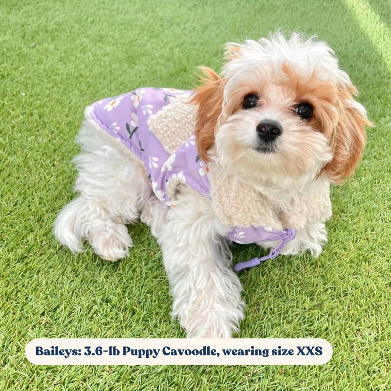 Purple Daisy Reversible Cozy Fleece Vest™ Cozy Fleece Sniff & Bark™ 