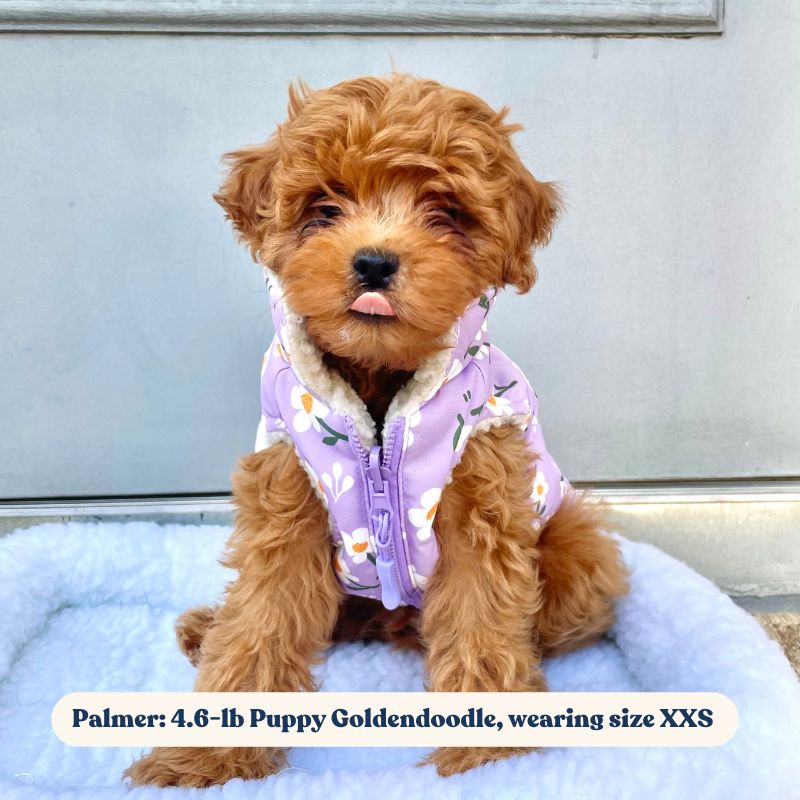 Purple Daisy Reversible Cozy Fleece Vest™ Cozy Fleece Sniff & Bark™ 