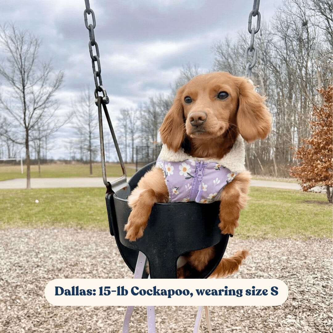 Purple Daisy Reversible Cozy Fleece Vest™ Cozy Fleece Sniff & Bark™ 