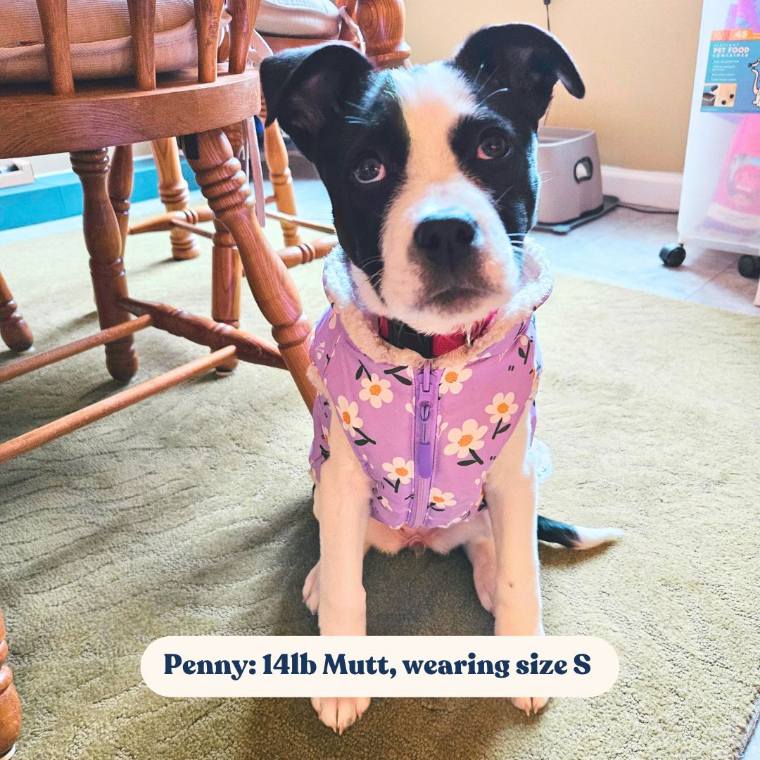 Purple Daisy Reversible Cozy Fleece Vest™ Cozy Fleece Sniff & Bark™ 