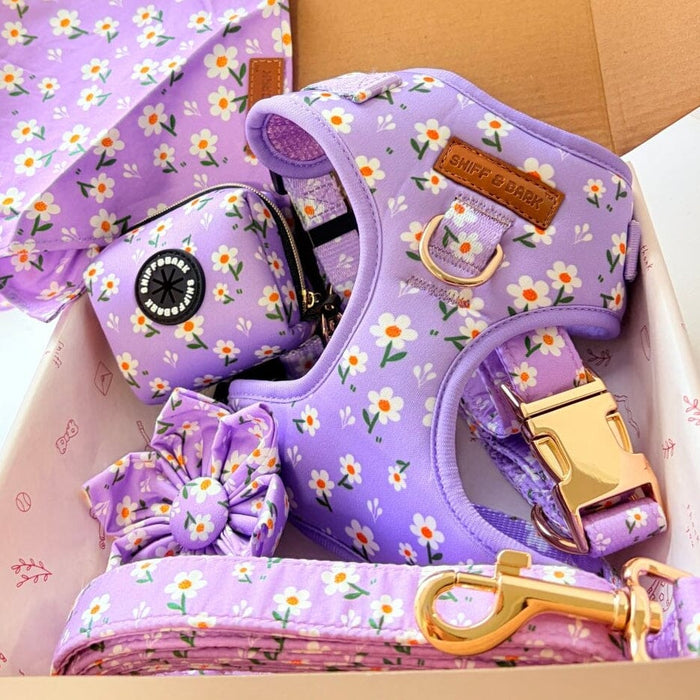 Purple Daisy Signature Bloomtie™ - Mega Bundle (D Ring)