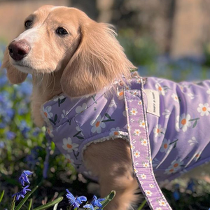 Purple Daisy Reversible Cozy Fleece Vest™