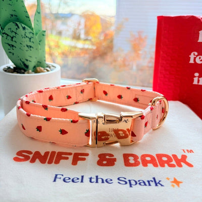Rosie Strawberry Signature Band™ - Crafted Collar
