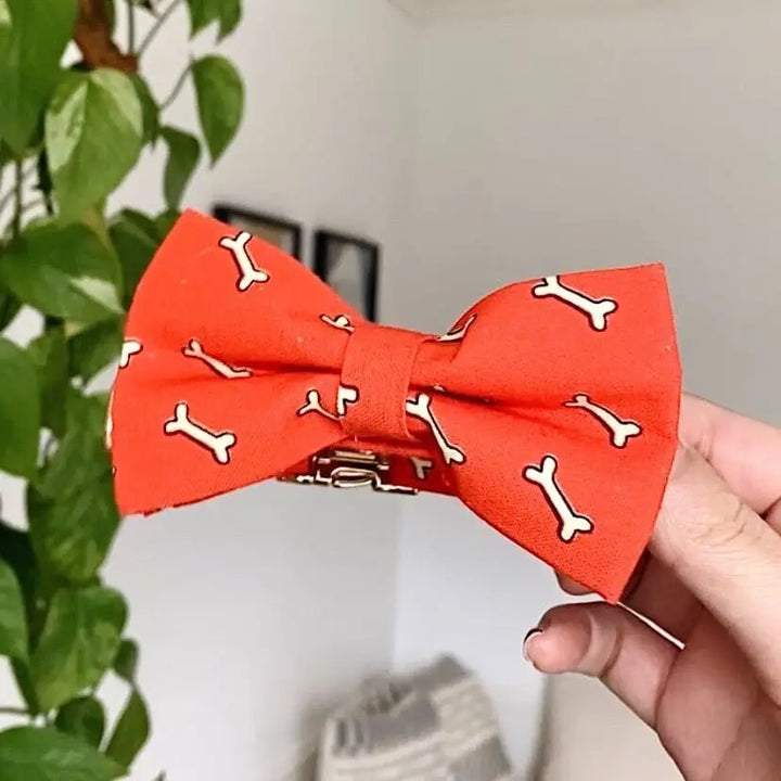 Coral Fetch Signature Band™ + Slide-On Dappertie™ Bowtie Collar Sniff & Bark™ 