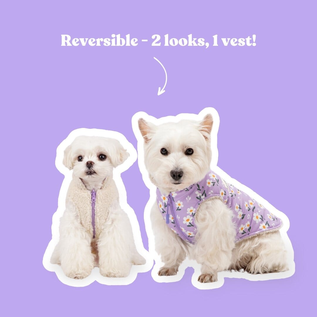 Purple Daisy Reversible Cozy Fleece Vest™ Cozy Fleece Sniff & Bark™ 