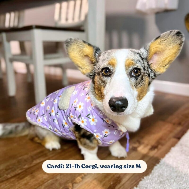 Purple Daisy Reversible Cozy Fleece Vest™ Cozy Fleece Sniff & Bark™ 