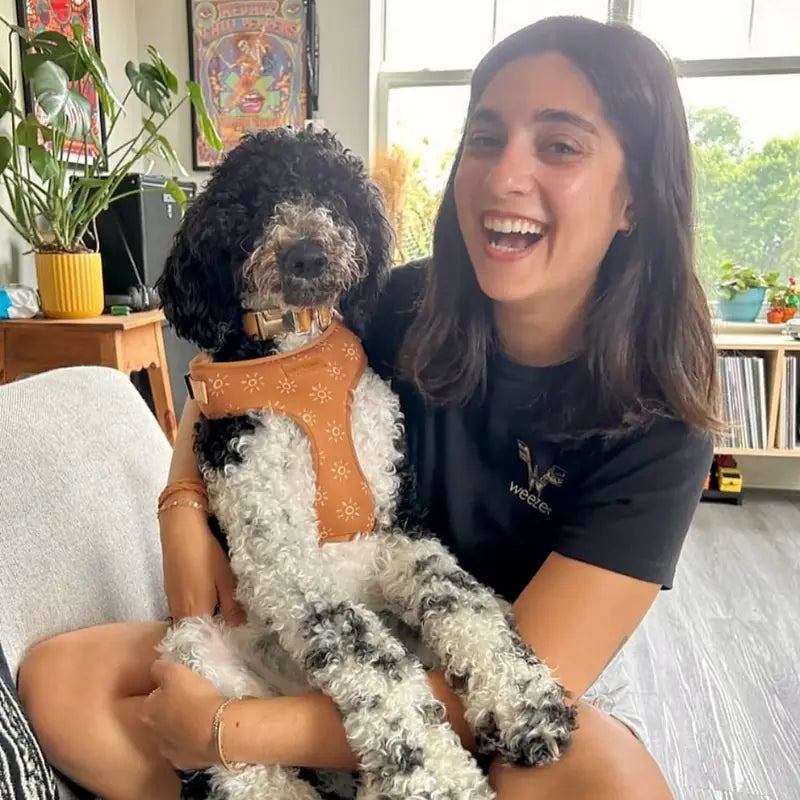 A smiling woman hugging her curly-haired dog wearing a Sniff & Bark harness