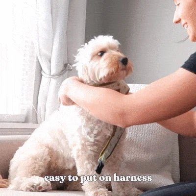 Peach Blush AllSet™ Harness – Adjustable Bliss Harness Sniff & Bark™ 