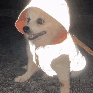 Night Vision Reflective