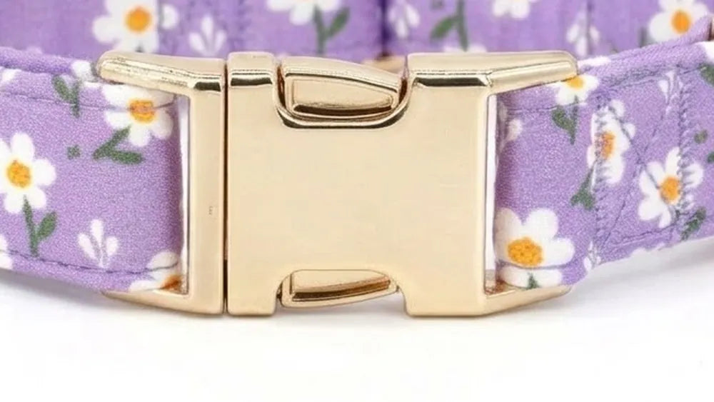 Approximate engraving preview on the collar buckle